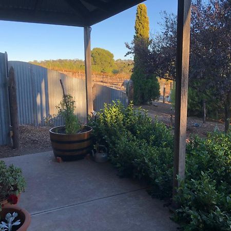 No 3 @ Bed In A Shed B&Bs Watervale 外观 照片
