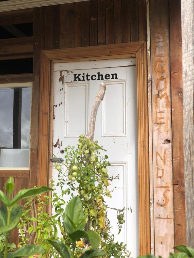 No 3 @ Bed In A Shed B&Bs Watervale 外观 照片