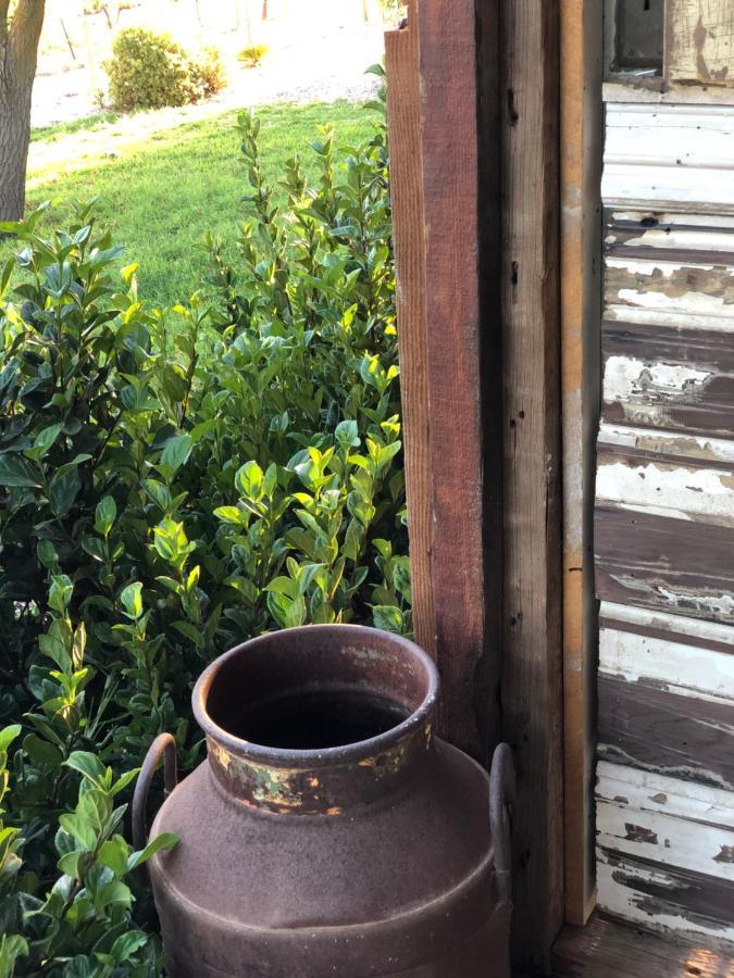 No 3 @ Bed In A Shed B&Bs Watervale 外观 照片